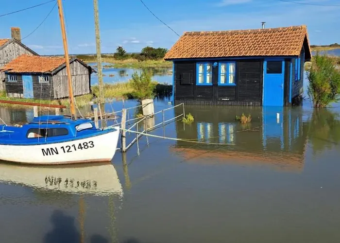 Coefficient 65 - Emplacement Parfait, Calme Et Propre La Tremblade